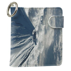 uz֐pviQOS ACRX p U[P[X ]^ / V^ 2.4PLUS XNGA 蒠^ Ή ^oR P[X Jo[  N[i[ [ ACRXP[X fUC 004735 ʐ^Ei v iqos005nb