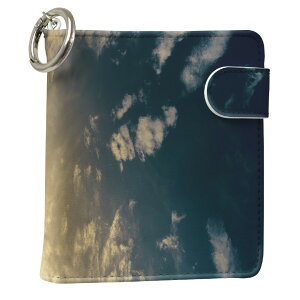 uz֐pviQOS ACRX p U[P[X ]^ / V^ 2.4PLUS XNGA 蒠^ Ή ^oR P[X Jo[  N[i[ [ ACRXP[X fUC 004909 ʐ^Ei v iqos005nb