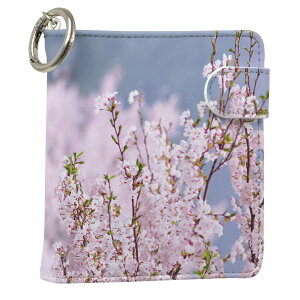 uz֐pviQOS ACRX p U[P[X ]^ / V^ 2.4PLUS XNGA 蒠^ Ή ^oR P[X Jo[  N[i[ [ ACRXP[X fUC 005163 ʐ^Ei v iqos005nb