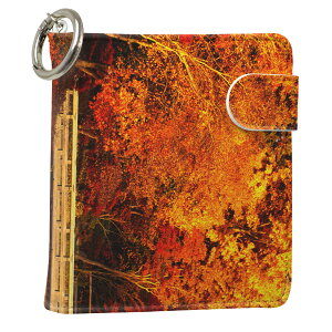 uz֐pviQOS ACRX p U[P[X ]^ / V^ 2.4PLUS XNGA 蒠^ Ή ^oR P[X Jo[  N[i[ [ ACRXP[X fUC 005203 ʐ^Ei v iqos005nb