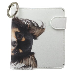 uz֐pviQOS ACRX p U[P[X ]^ / V^ 2.4PLUS XNGA 蒠^ Ή ^oR P[X Jo[  N[i[ [ ACRXP[X fUC 005221 Aj} ʐ^Ei 