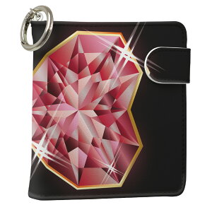 uz֐pviQOS ACRX p U[P[X ]^ / V^ 2.4PLUS XNGA 蒠^ Ή ^oR P[X Jo[  N[i[ [ ACRXP[X fUC 005360 OWA[ v iqo