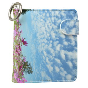 uz֐pviQOS ACRX p U[P[X ]^ / V^ 2.4PLUS XNGA 蒠^ Ή ^oR P[X Jo[  N[i[ [ ACRXP[X fUC 005394 t[ ʐ^Ei 