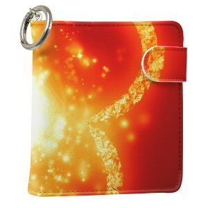 uz֐pviQOS ACRX p U[P[X ]^ / V^ 2.4PLUS XNGA 蒠^ Ή ^oR P[X Jo[  N[i[ [ ACRXP[X fUC 005467 OWA[ v iqo