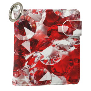 uz֐pviQOS ACRX p U[P[X ]^ / V^ 2.4PLUS XNGA 蒠^ Ή ^oR P[X Jo[  N[i[ [ ACRXP[X fUC 005554 OWA[ v iqo