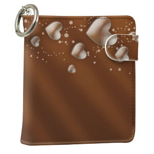 uz֐pviQOS ACRX p U[P[X ]^ / V^ 2.4PLUS XNGA 蒠^ Ή ^oR P[X Jo[  N[i[ [ ACRXP[X fUC 005599 u[ v iqos005nb