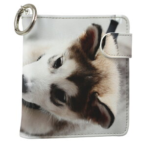 uz֐pviQOS ACRX p U[P[X ]^ / V^ 2.4PLUS XNGA 蒠^ Ή ^oR P[X Jo[  N[i[ [ ACRXP[X fUC 005831 Aj} ʐ^Ei 