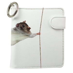 uz֐pviQOS ACRX p U[P[X ]^ / V^ 2.4PLUS XNGA 蒠^ Ή ^oR P[X Jo[  N[i[ [ ACRXP[X fUC 005911 Aj} ʐ^Ei 