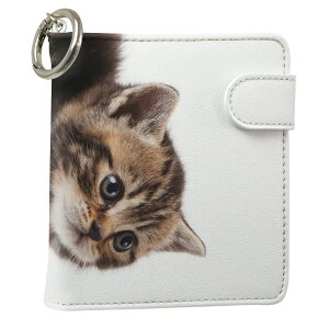 uz֐pviQOS ACRX p U[P[X ]^ / V^ 2.4PLUS XNGA 蒠^ Ή ^oR P[X Jo[  N[i[ [ ACRXP[X fUC 005930 Aj} ʐ^Ei 