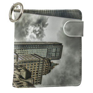 uz֐pviQOS ACRX p U[P[X ]^ / V^ 2.4PLUS XNGA 蒠^ Ή ^oR P[X Jo[  N[i[ [ ACRXP[X fUC 005933 ʐ^Ei v iqos005nb