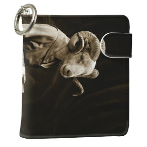 uz֐pviQOS ACRX p U[P[X ]^ / V^ 2.4PLUS XNGA 蒠^ Ή ^oR P[X Jo[  N[i[ [ ACRXP[X fUC 005945 Aj} ʐ^Ei 