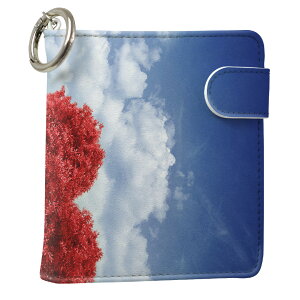 uz֐pviQOS ACRX p U[P[X ]^ / V^ 2.4PLUS XNGA 蒠^ Ή ^oR P[X Jo[  N[i[ [ ACRXP[X fUC 006009 ʐ^Ei u[ 