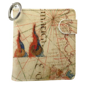 uz֐pviQOS ACRX p U[P[X ]^ / V^ 2.4PLUS XNGA 蒠^ Ή ^oR P[X Jo[  N[i[ [ ACRXP[X fUC 006022 ̑ v iqos005nb