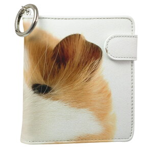 uz֐pviQOS ACRX p U[P[X ]^ / V^ 2.4PLUS XNGA 蒠^ Ή ^oR P[X Jo[  N[i[ [ ACRXP[X fUC 006036 Aj} ʐ^Ei 