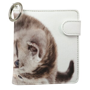 uz֐pviQOS ACRX p U[P[X ]^ / V^ 2.4PLUS XNGA 蒠^ Ή ^oR P[X Jo[  N[i[ [ ACRXP[X fUC 006228 ʐ^Ei v iqos005nb