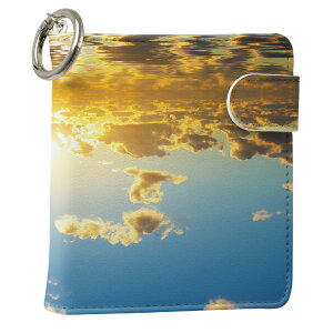 uz֐pviQOS ACRX p U[P[X ]^ / V^ 2.4PLUS XNGA 蒠^ Ή ^oR P[X Jo[  N[i[ [ ACRXP[X fUC 006326 ʐ^Ei v iqos005nb