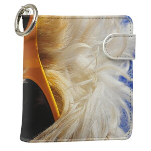 uz֐pviQOS ACRX p U[P[X ]^ / V^ 2.4PLUS XNGA 蒠^ Ή ^oR P[X Jo[  N[i[ [ ACRXP[X fUC 006384 ʐ^Ei Aj} 