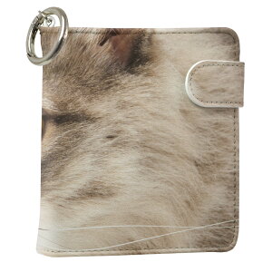 uz֐pviQOS ACRX p U[P[X ]^ / V^ 2.4PLUS XNGA 蒠^ Ή ^oR P[X Jo[  N[i[ [ ACRXP[X fUC 006477 ʐ^Ei Aj} 