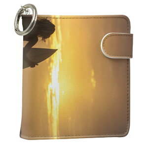 uz֐pviQOS ACRX p U[P[X ]^ / V^ 2.4PLUS XNGA 蒠^ Ή ^oR P[X Jo[  N[i[ [ ACRXP[X fUC 006520 ʐ^Ei v iqos005nb