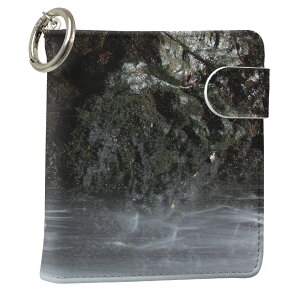 uz֐pviQOS ACRX p U[P[X ]^ / V^ 2.4PLUS XNGA 蒠^ Ή ^oR P[X Jo[  N[i[ [ ACRXP[X fUC 006572 ʐ^Ei v iqos005nb