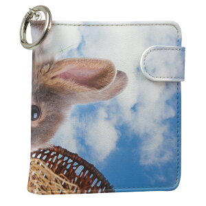 uz֐pviQOS ACRX p U[P[X ]^ / V^ 2.4PLUS XNGA 蒠^ Ή ^oR P[X Jo[  N[i[ [ ACRXP[X fUC 006581 ʐ^Ei v iqos005nb