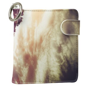 uz֐pviQOS ACRX p U[P[X ]^ / V^ 2.4PLUS XNGA 蒠^ Ή ^oR P[X Jo[  N[i[ [ ACRXP[X fUC 006618 ʐ^Ei v iqos005nb