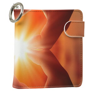 uz֐pviQOS ACRX p U[P[X ]^ / V^ 2.4PLUS XNGA 蒠^ Ή ^oR P[X Jo[  N[i[ [ ACRXP[X fUC 006752 ʐ^Ei v iqos005nb