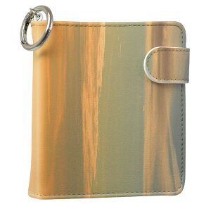 uz֐pviQOS ACRX p U[P[X ]^ / V^ 2.4PLUS XNGA 蒠^ Ή ^oR P[X Jo[  N[i[ [ ACRXP[X fUC 006788 ʐ^Ei v iqos005nb