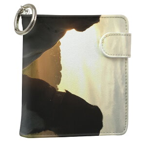 uz֐pviQOS ACRX p U[P[X ]^ / V^ 2.4PLUS XNGA 蒠^ Ή ^oR P[X Jo[  N[i[ [ ACRXP[X fUC 006937 Aj} ʐ^Ei 