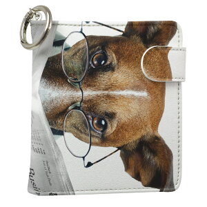 uz֐pviQOS ACRX p U[P[X ]^ / V^ 2.4PLUS XNGA 蒠^ Ή ^oR P[X Jo[  N[i[ [ ACRXP[X fUC 007706 Aj} v iqos005nb