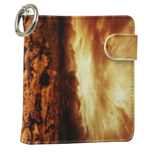 uz֐pviQOS ACRX p U[P[X ]^ / V^ 2.4PLUS XNGA 蒠^ Ή ^oR P[X Jo[  N[i[ [ ACRXP[X fUC 007728 ʐ^Ei v iqos005nb