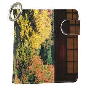 uz֐pviQOS ACRX p U[P[X ]^ / V^ 2.4PLUS XNGA 蒠^ Ή ^oR P[X Jo[  N[i[ [ ACRXP[X fUC 008066 ʐ^Ei v iqos005nb