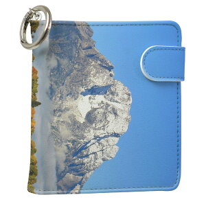 uz֐pviQOS ACRX p U[P[X ]^ / V^ 2.4PLUS XNGA 蒠^ Ή ^oR P[X Jo[  N[i[ [ ACRXP[X fUC 008162 ʐ^Ei v iqos005nb