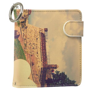 uz֐pviQOS ACRX p U[P[X ]^ / V^ 2.4PLUS XNGA 蒠^ Ή ^oR P[X Jo[  N[i[ [ ACRXP[X fUC 008383 ʐ^Ei v iqos005nb