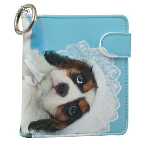 uz֐pviQOS ACRX p U[P[X ]^ / V^ 2.4PLUS XNGA 蒠^ Ή ^oR P[X Jo[  N[i[ [ ACRXP[X fUC 008499 Aj} v iqos005nb