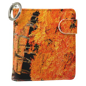 uz֐pviQOS ACRX p U[P[X ]^ / V^ 2.4PLUS XNGA 蒠^ Ή ^oR P[X Jo[  N[i[ [ ACRXP[X fUC 008505 ʐ^Ei v iqos005nb