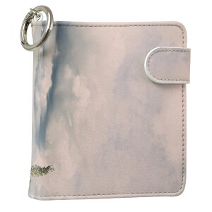 uz֐pviQOS ACRX p U[P[X ]^ / V^ 2.4PLUS XNGA 蒠^ Ή ^oR P[X Jo[  N[i[ [ ACRXP[X fUC 008773 ʐ^Ei v iqos005nb