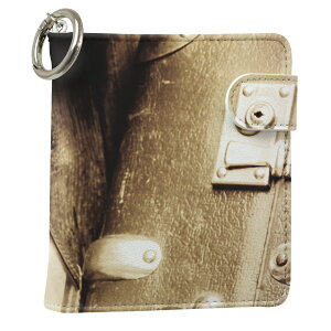 uz֐pviQOS ACRX p U[P[X ]^ / V^ 2.4PLUS XNGA 蒠^ Ή ^oR P[X Jo[  N[i[ [ ACRXP[X fUC 008823 ʐ^Ei v iqos005nb