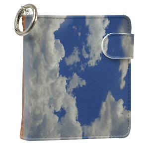 uz֐pviQOS ACRX p U[P[X ]^ / V^ 2.4PLUS XNGA 蒠^ Ή ^oR P[X Jo[  N[i[ [ ACRXP[X fUC 008849 ʐ^Ei v iqos005nb