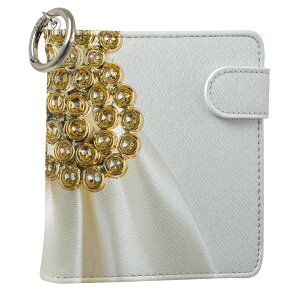 uz֐pviQOS ACRX p U[P[X ]^ / V^ 2.4PLUS XNGA 蒠^ Ή ^oR P[X Jo[  N[i[ [ ACRXP[X fUC 008933 u[ v iqos005nb