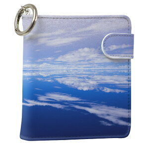 uz֐pviQOS ACRX p U[P[X ]^ / V^ 2.4PLUS XNGA 蒠^ Ή ^oR P[X Jo[  N[i[ [ ACRXP[X fUC 009610 v iqos005nb