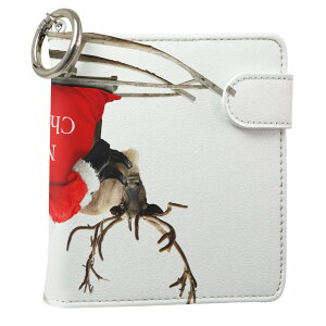 uz֐pviQOS ACRX p U[P[X ]^ / V^ 2.4PLUS XNGA 蒠^ Ή ^oR P[X Jo[  N[i[ [ ACRXP[X fUC 009971 v iqos005nb