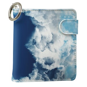 uz֐pviQOS ACRX p U[P[X ]^ / V^ 2.4PLUS XNGA 蒠^ Ή ^oR P[X Jo[  N[i[ [ ACRXP[X fUC 010215 v iqos005nb