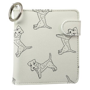 uz֐pviQOS ACRX p U[P[X ]^ / V^ 2.4PLUS XNGA 蒠^ Ή ^oR P[X Jo[  N[i[ [ ACRXP[X fUC 010698 v iqos005nb