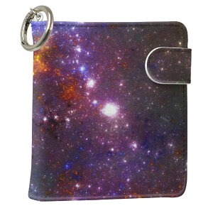 uz֐pviQOS ACRX p U[P[X ]^ / V^ 2.4PLUS XNGA 蒠^ Ή ^oR P[X Jo[  N[i[ [ ACRXP[X fUC 011146 v iqos005nb