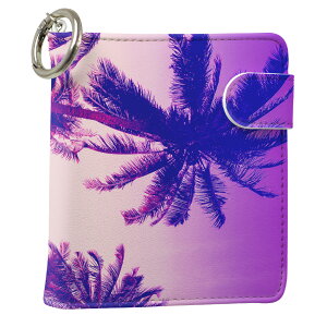 uz֐pviQOS ACRX p U[P[X ]^ / V^ 2.4PLUS XNGA 蒠^ Ή ^oR P[X Jo[  N[i[ [ ACRXP[X fUC 011305 v iqos005nb