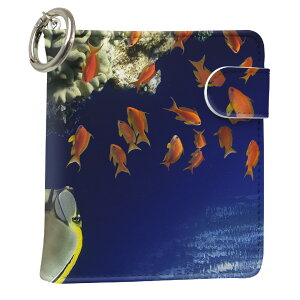 uz֐pviQOS ACRX p U[P[X ]^ / V^ 2.4PLUS XNGA 蒠^ Ή ^oR P[X Jo[  N[i[ [ ACRXP[X fUC 011673 v iqos005nb