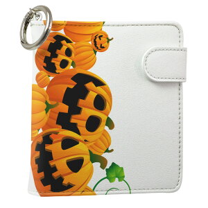 uz֐pviQOS ACRX p U[P[X ]^ / V^ 2.4PLUS XNGA 蒠^ Ή ^oR P[X Jo[  N[i[ [ ACRXP[X fUC 011698 v iqos005nb