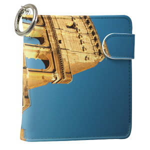 uz֐pviQOS ACRX p U[P[X ]^ / V^ 2.4PLUS XNGA 蒠^ Ή ^oR P[X Jo[  N[i[ [ ACRXP[X fUC 012829 v iqos005nb