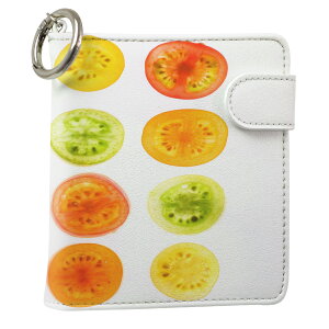 uz֐pviQOS ACRX p U[P[X ]^ / V^ 2.4PLUS XNGA 蒠^ Ή ^oR P[X Jo[  N[i[ [ ACRXP[X fUC 013341 v iqos005nb